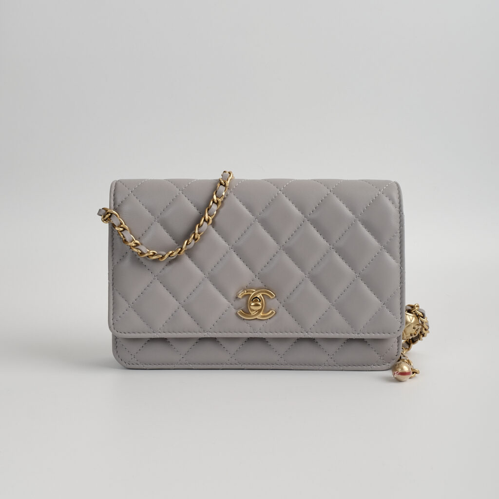 CHANEL 22B WOC