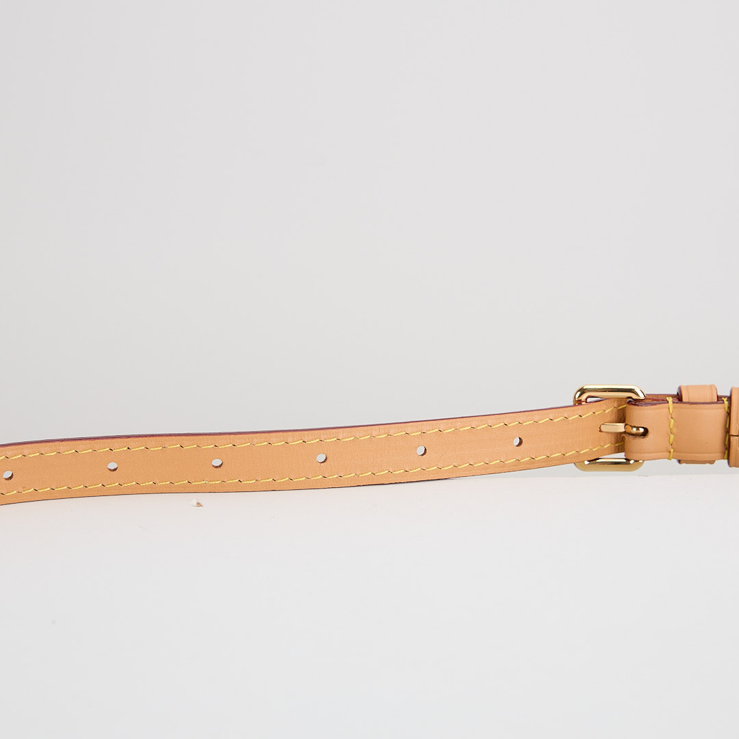 二手Lv Nano speedy老花:圖片 16